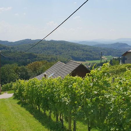 Zidanica Meglic - Vineyard Cottage Meglic Trebnje Eksteriør billede