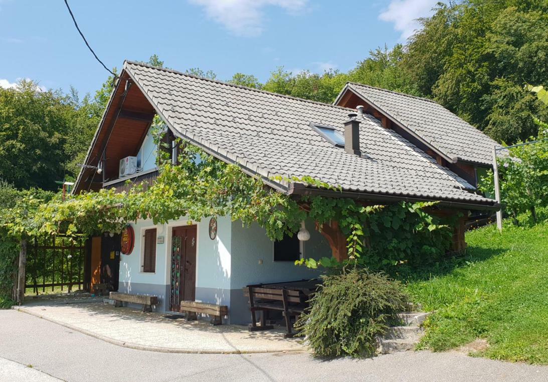 Zidanica Meglic - Vineyard Cottage Meglic Trebnje Eksteriør billede