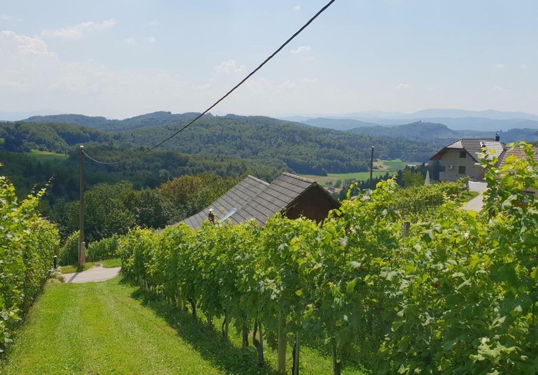 Zidanica Meglic - Vineyard Cottage Meglic Trebnje Eksteriør billede
